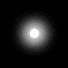 QuantumLight Capital