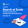 Search at Scale: From Fuzzy Queries to OCR, Text Embedding and Reranker Models