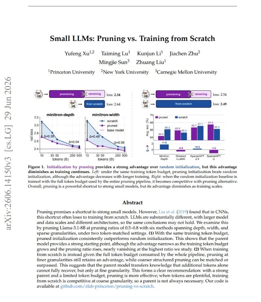 Is Pruning LLMs a Lie?