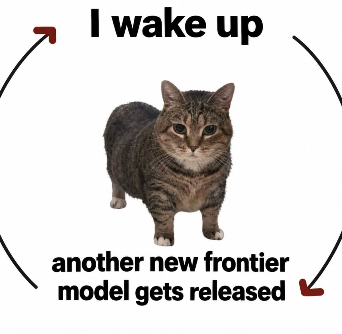 Meme about waking up to another frontier model release
