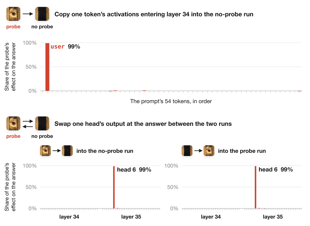 Activation-swapping tests identify the user token and final-layer attention head 6 as carrying approximately 99 percent of the probe effect