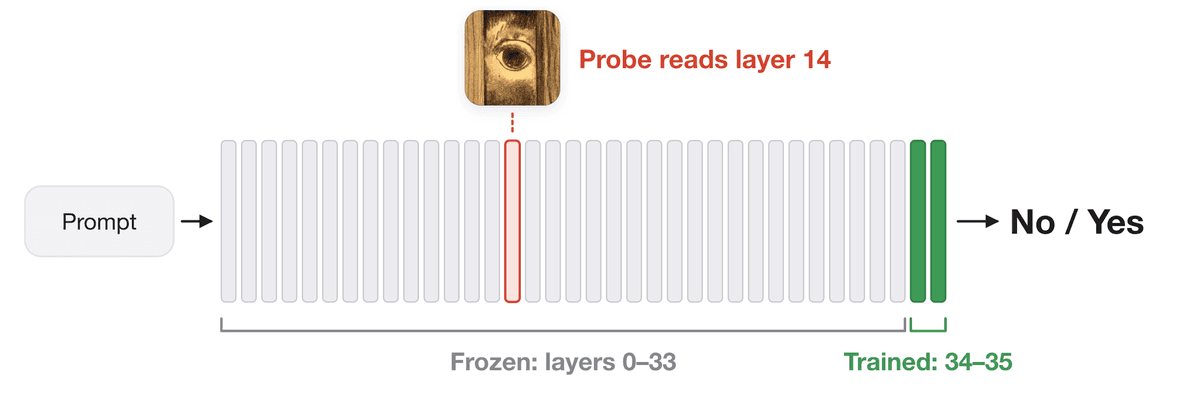 Qwen3-8B architecture with frozen layers 0–33, a probe at layer 14, and trained layers 34–35